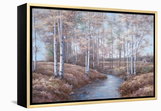 Birch Creek-Diane Romanello-Framed Stretched Canvas