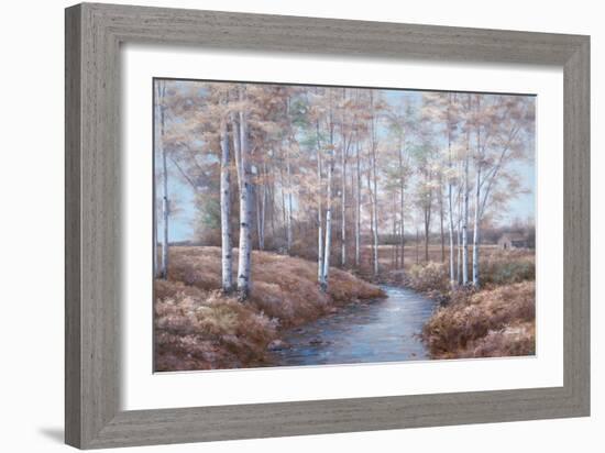 Birch Creek-Diane Romanello-Framed Art Print