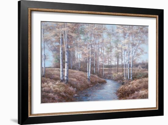 Birch Creek-Diane Romanello-Framed Art Print