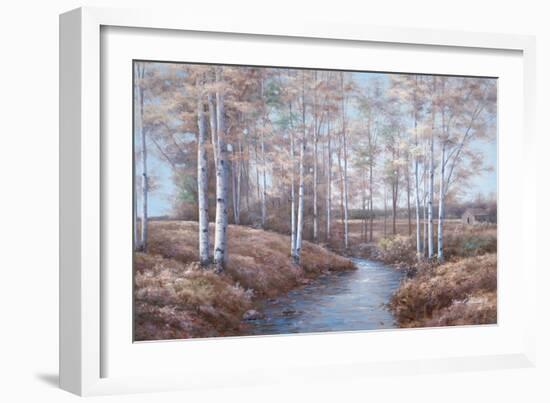 Birch Creek-Diane Romanello-Framed Art Print