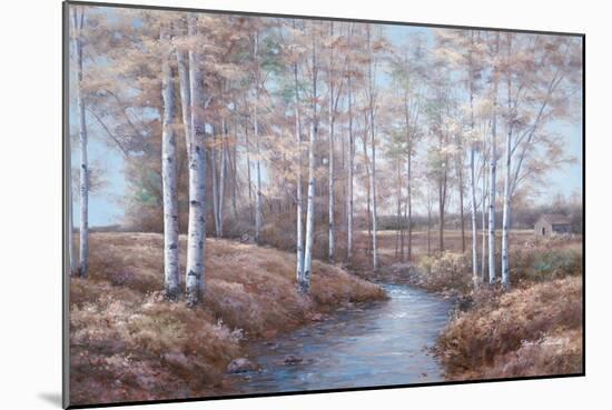 Birch Creek-Diane Romanello-Mounted Art Print