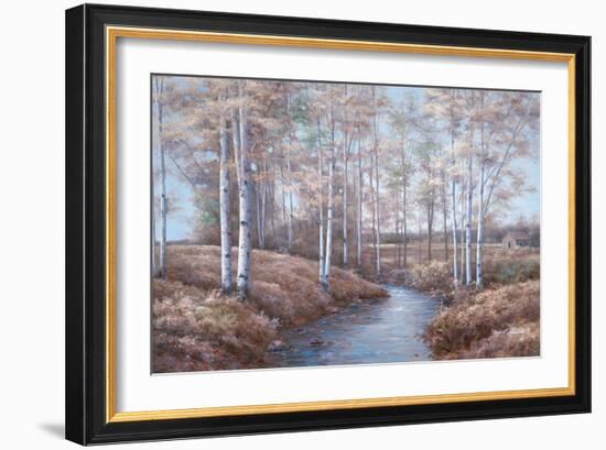 Birch Creek-Diane Romanello-Framed Art Print