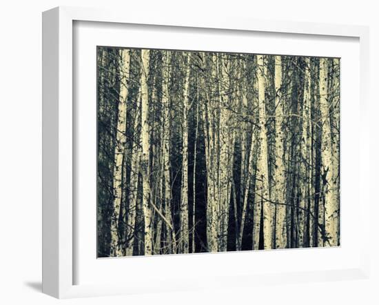 Birch Dream-Robin Dickinson-Framed Art Print