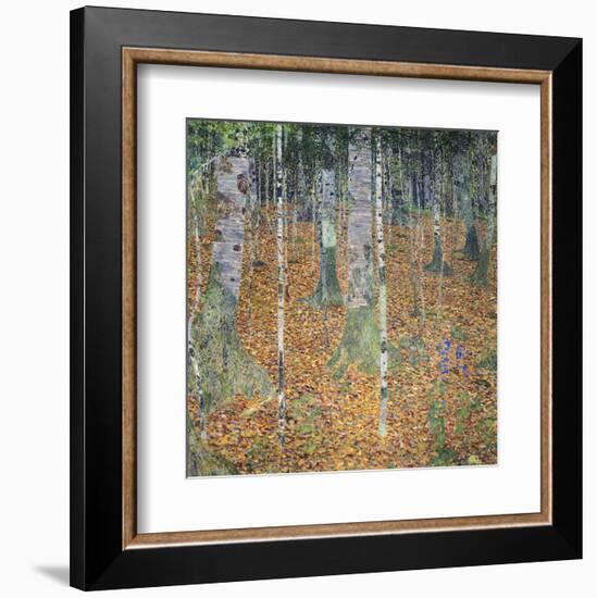 Birch Forest, 1903-Gustav Klimt-Framed Art Print