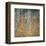 Birch Forest, 1903-Gustav Klimt-Framed Art Print