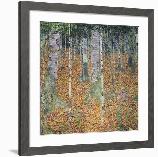 Birch Forest, 1903-Gustav Klimt-Framed Giclee Print