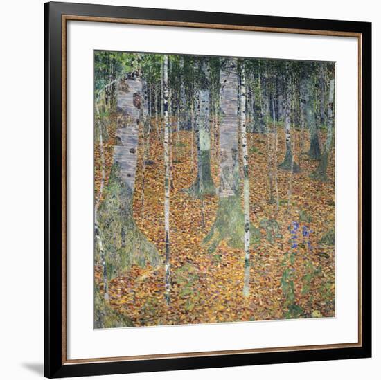 Birch Forest, 1903-Gustav Klimt-Framed Giclee Print