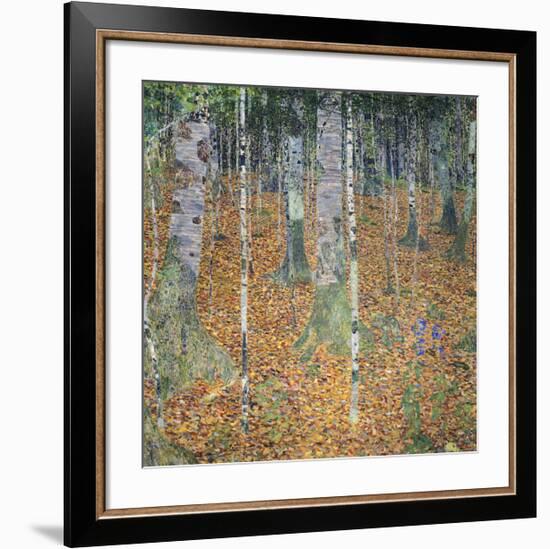 Birch Forest, 1903-Gustav Klimt-Framed Giclee Print