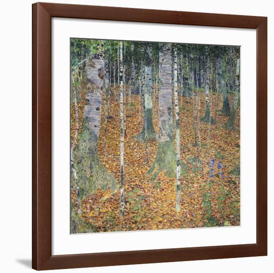 Birch Forest, 1903-Gustav Klimt-Framed Giclee Print