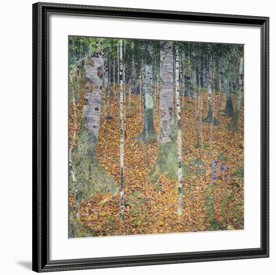 Birch Forest, 1903-Gustav Klimt-Framed Giclee Print