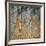 Birch Forest, 1903-Gustav Klimt-Framed Giclee Print