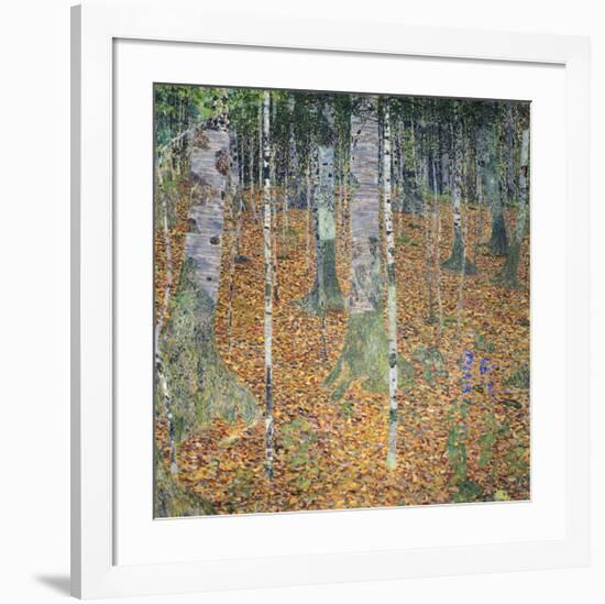 Birch Forest, 1903-Gustav Klimt-Framed Giclee Print