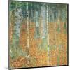 Birch Forest, c.1903-Gustav Klimt-Mounted Premium Giclee Print