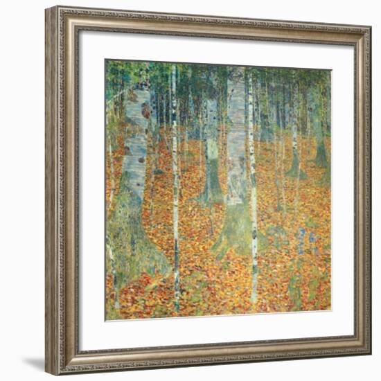 Birch Forest, c.1903-Gustav Klimt-Framed Premium Giclee Print