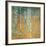 Birch Forest, c.1903-Gustav Klimt-Framed Premium Giclee Print