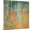 Birch Forest, c.1903-Gustav Klimt-Mounted Premium Giclee Print