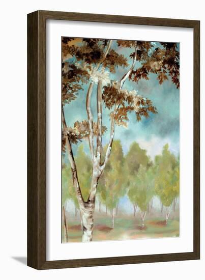 Birch Forest I-Margaret Ferry-Framed Art Print