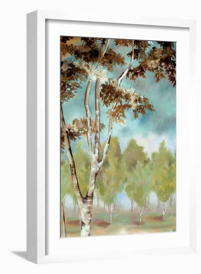 Birch Forest I-Margaret Ferry-Framed Art Print