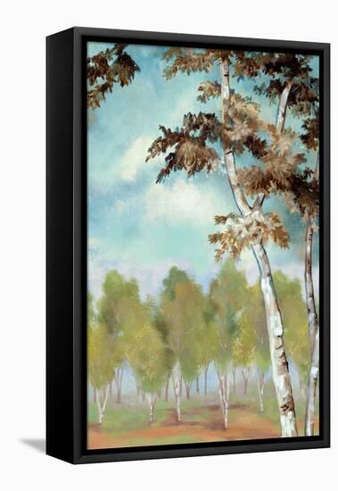 Birch Forest II-Margaret Ferry-Framed Stretched Canvas