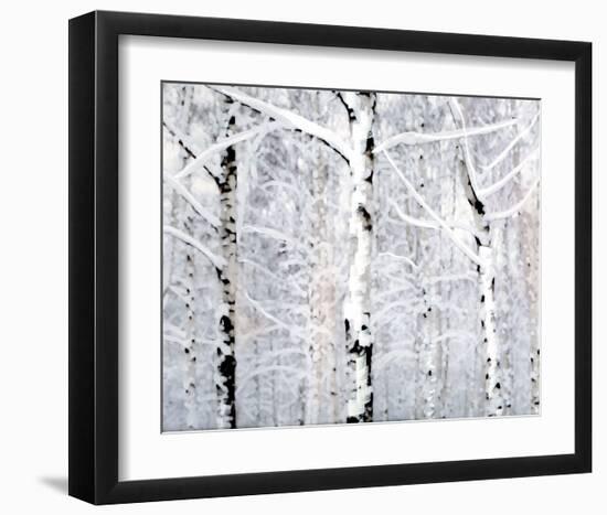 Birch Forest Winter-Parker Greenfield-Framed Art Print