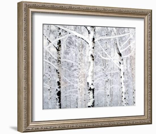 Birch Forest Winter-Parker Greenfield-Framed Art Print