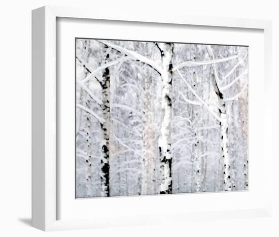 Birch Forest Winter-Parker Greenfield-Framed Art Print