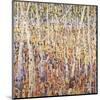 Birch Forest-Jean Cauthen-Mounted Art Print