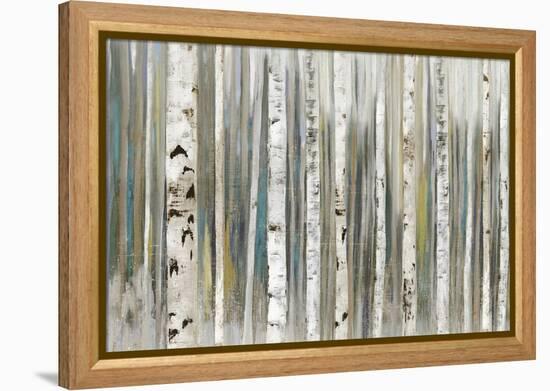 Birch Forest-Allison Pearce-Framed Stretched Canvas