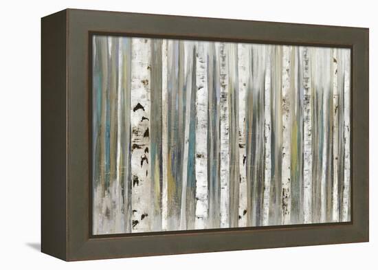 Birch Forest-Allison Pearce-Framed Stretched Canvas