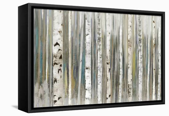 Birch Forest-Allison Pearce-Framed Stretched Canvas