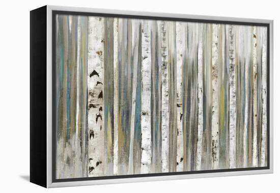 Birch Forest-Allison Pearce-Framed Stretched Canvas