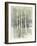 Birch Grove I-Avery Tillmon-Framed Art Print