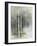 Birch Grove II-Avery Tillmon-Framed Art Print