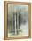 Birch Grove II-Avery Tillmon-Framed Stretched Canvas