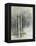 Birch Grove II-Avery Tillmon-Framed Stretched Canvas