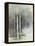 Birch Grove II-Avery Tillmon-Framed Stretched Canvas