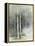 Birch Grove II-Avery Tillmon-Framed Stretched Canvas