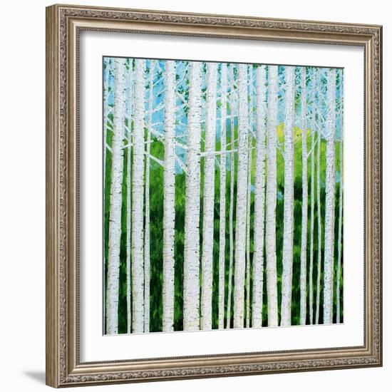 Birch Grove-Herb Dickinson-Framed Photographic Print