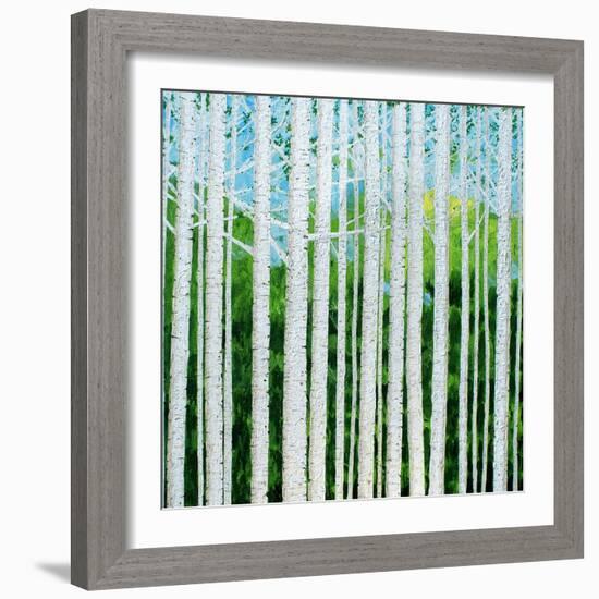 Birch Grove-Herb Dickinson-Framed Photographic Print