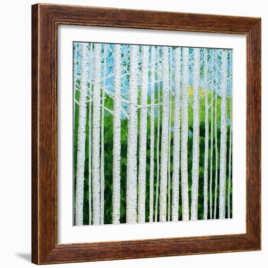 Birch Grove-Herb Dickinson-Framed Photographic Print