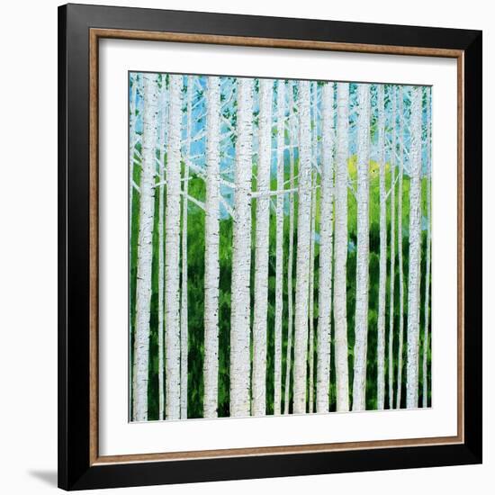 Birch Grove-Herb Dickinson-Framed Photographic Print