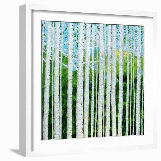 Birch Grove-Herb Dickinson-Framed Photographic Print