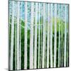 Birch Grove-Herb Dickinson-Mounted Photographic Print