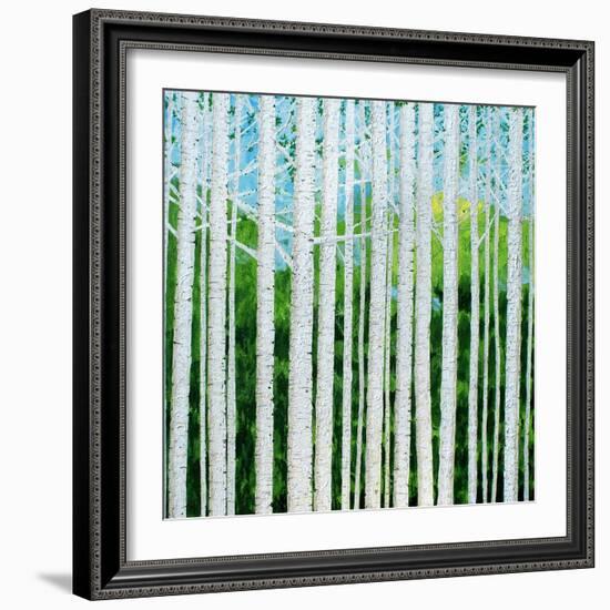 Birch Grove-Herb Dickinson-Framed Photographic Print