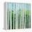 Birch Grove-Herb Dickinson-Framed Premier Image Canvas