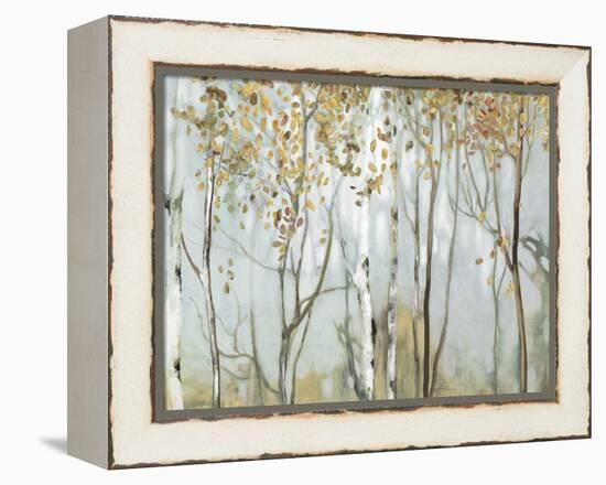 Birch in the fog II-Allison Pearce-Framed Stretched Canvas