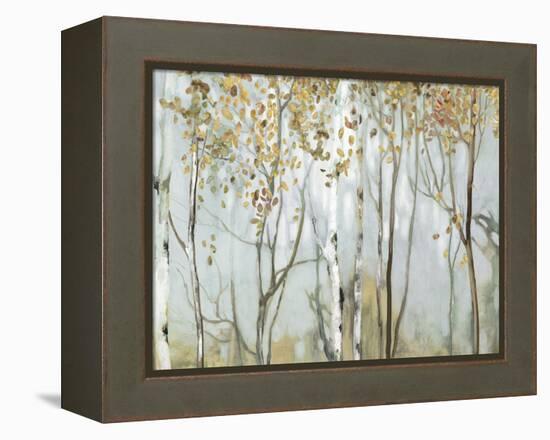 Birch in the fog II-Allison Pearce-Framed Stretched Canvas