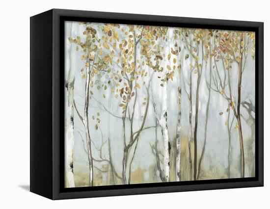 Birch in the fog II-Allison Pearce-Framed Stretched Canvas