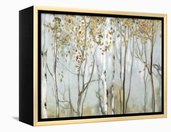 Birch in the fog II-Allison Pearce-Framed Stretched Canvas