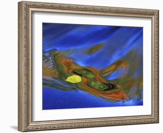 Birch Leaf in River Current with Autumn and Sky Reflections, Upper Peninsula, Michigan, USA-Mark Carlson-Framed Photographic Print